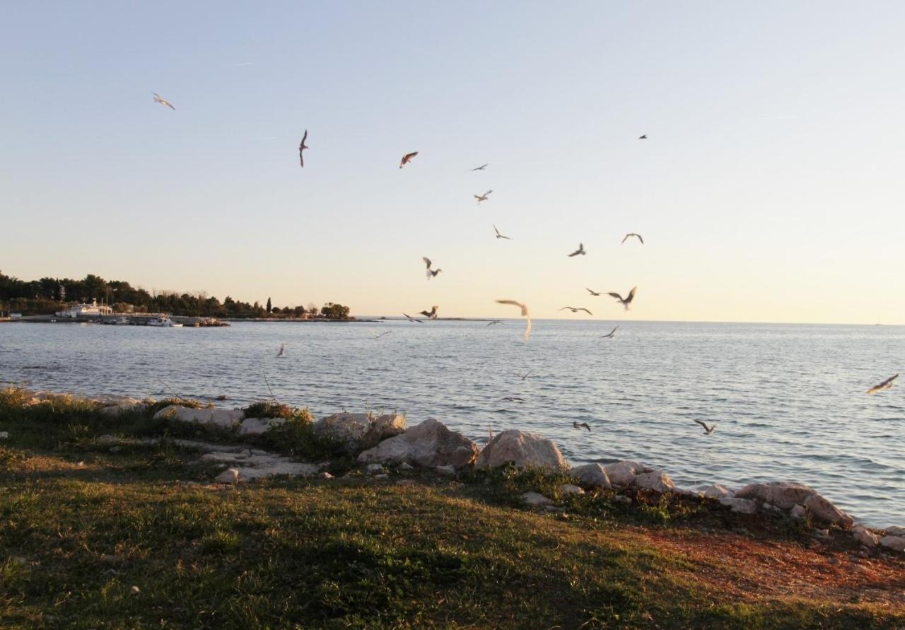 Apartments Zambratija With Sea View Zewnętrze zdjęcie